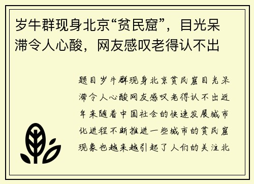 岁牛群现身北京“贫民窟”，目光呆滞令人心酸，网友感叹老得认不出