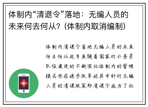 体制内“清退令”落地：无编人员的未来何去何从？(体制内取消编制)