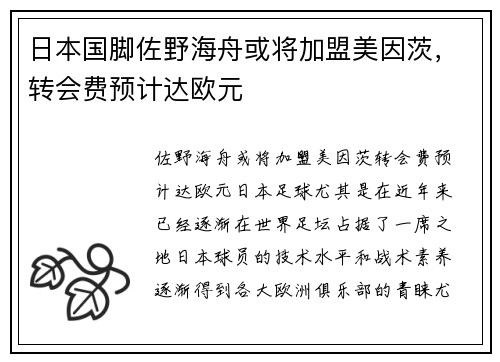 日本国脚佐野海舟或将加盟美因茨，转会费预计达欧元