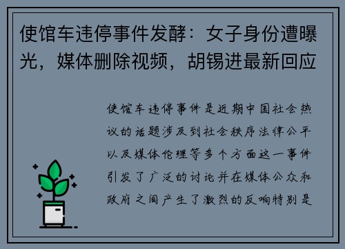 使馆车违停事件发酵：女子身份遭曝光，媒体删除视频，胡锡进最新回应